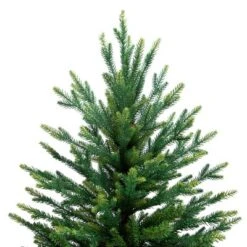 Northlight Real Touch™️ Two-Tone River Deer Pine Full Artificial Christmas Tree - 6.5' - Unlit 12 Northlight Real Touch™️ Two-Tone River Deer Pine Full Artificial Christmas Tree - 6.5' - Unlit -Festival GUEST 008edead 16d9 456b 80f8 a65abe2ef074