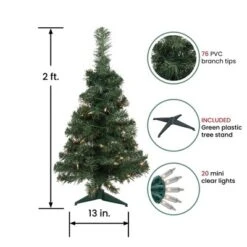 Northlight Pre-Lit Medium Blackwater Fir Artificial Christmas Tree - 2' - Clear Lights -Festival GUEST 0a328aed 5f03 42fe bca2 063dc12f2cf8