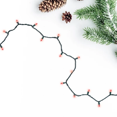 Northlight 50ct Mini LED String Lights Red - 16.25' Green Wire 4 Northlight 50ct Mini LED String Lights Red - 16.25' Green Wire - Image 2