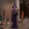 Northlight LED Lighted And Animated Witch Halloween Decoration - 5.5' -Festival GUEST 16635240 3acd 496b bed9 6366e8bcc804