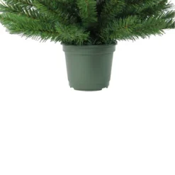 Northlight 3' Unlit Potted Artificial Christmas Tree Medium Norway Spruce -Festival GUEST 186e3810 b62f 4d4e 9a4f 5fb205a26a65
