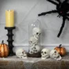 Northlight Skeleton Skulls Halloween Decorations - 4.5" - Set Of 6 -Festival GUEST 1b90513b 0ff7 4d79 b499 68ecf5f5bf00