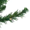 Northlight Pre-Lit Pencil Northern Balsam Fir Artificial Christmas Tree - 6' - Warm Clear LED Lights 1 Northlight Pre-Lit Pencil Northern Balsam Fir Artificial Christmas Tree - 6' - Warm Clear LED Lights -Festival GUEST 1d297d18 e51d 4ad4 8172 55700d06c93b