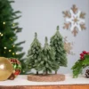 Northlight Icy Downswept Pine Trio Of Trees Christmas Decoration - 8" - Unlit -Festival GUEST 279b0919 8ab6 4783 82de 68e58455856d