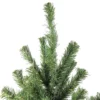 Northlight Canadian Pine Medium Artificial Christmas Tree - 5' - Unlit 2 Northlight Canadian Pine Medium Artificial Christmas Tree - 5' - Unlit -Festival GUEST 2c7a7082 d7ac 40f4 8d30 a0bc23e31db0
