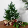 Northlight Whitecap Pine Artificial Mini Christmas Tree - 14" - Unlit -Festival GUEST 2e596226 f29c 41f0 a47a 95292ed20371