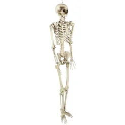 Northlight Life Size Skeleton Halloween Hanging Decoration - 5' 9 Northlight Life Size Skeleton Halloween Hanging Decoration - 5' -Festival GUEST 31ffc76d 6ab6 4d56 9978 b4b32ded9fad