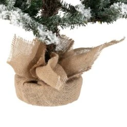 Northlight Real Touch™ Pre-Lit B/O Tamarack Pine Artificial Christmas Tree With Burlap - 3' Warm White LED -Festival GUEST 5328657f 105a 42c8 ab25 e7f88c299a91