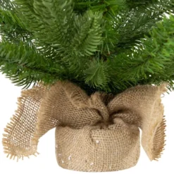 Northlight Real Touch™️ Potted Sarasota Pine Artificial Mini Christmas Tree - 24" - Unlit 14 Northlight Real Touch™️ Potted Sarasota Pine Artificial Mini Christmas Tree - 24" - Unlit -Festival GUEST 5384a1d9 8963 4292 a044 d8029e9eef5e