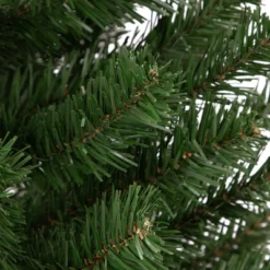 Northlight Blackwater Fir Medium Artificial Christmas Tree - 3' - Unlit -Festival GUEST 5edfa430 c663 47c7 bbb0 754f83d22568