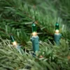 Northlight Mini Christmas Light Set - Clear With Green Tip - 10' Green Wire - 50ct -Festival GUEST 5ff04b9e ac13 4bd9 b066 324fc1e22331