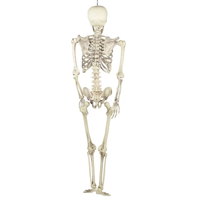 Northlight Life Size Skeleton Halloween Hanging Decoration - 5' 6 Northlight Life Size Skeleton Halloween Hanging Decoration - 5' - Image 4