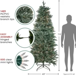 Northlight Real Touch™️ Pre-Lit Washington Frasier Fir Slim Artificial Christmas Tree - 7.5' - Clear Lights -Festival GUEST 6c7072f5 8401 43ab 9e4b d2dc8cb5368c