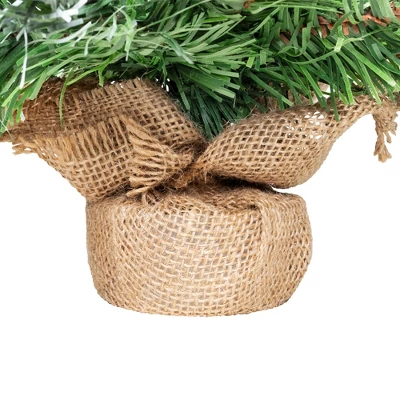 Northlight Whitecap Pine Artificial Mini Christmas Tree - 18" - Unlit 4 Northlight Whitecap Pine Artificial Mini Christmas Tree - 18" - Unlit - Image 2