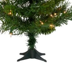 Northlight Pre-Lit Medium Royal Pine Artificial Christmas Tree - 2' - Clear Lights -Festival GUEST 86e596a2 ed07 4425 8bac 3ee2a1453423