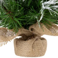 Northlight Whitecap Pine Artificial Mini Christmas Tree - 14" - Unlit -Festival GUEST 950f2d55 9601 456d b760 24ee8f0eab27