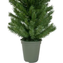 Northlight 4' Potted Virginia Pine Walkway Slim Artificial Christmas Tree - Unlit -Festival GUEST 975bc0b7 5b18 4dd1 9808 136bc2d036eb