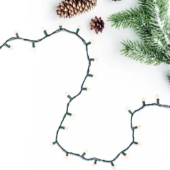 Northlight 10-Count Clear Mini Christmas Light Set - 3' Green Wire -Festival GUEST 9aa59aeb 086a 4a20 ad35 3c74fefb5eab