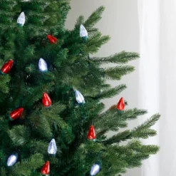 Northlight 25ct Red And Pure White LED C7 Christmas Lights - 16ft Green Wire 11 Northlight 25ct Red And Pure White LED C7 Christmas Lights - 16ft Green Wire -Festival GUEST b12715ea a599 4d23 8ce5 1b3003bc303a