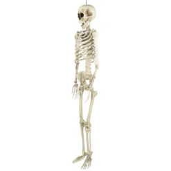 Northlight Life Size Skeleton Halloween Hanging Decoration - 5' 11 Northlight Life Size Skeleton Halloween Hanging Decoration - 5' -Festival GUEST bca64ee8 bbb6 4a01 844a cc7b09646756