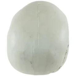 Northlight Bag Of Skulls Halloween Decorations - 6" - Set Of 3 13 Northlight Bag Of Skulls Halloween Decorations - 6" - Set Of 3 -Festival GUEST c3023818 df73 4b5d ab32 d45333f04b12