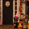 Northlight 24" Lighted Black Cat In Witch's Hat Outdoor Halloween Decoration