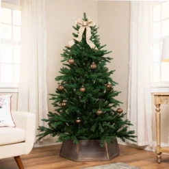 Northlight Real Touch™️ Full Alamosa Fir Artificial Christmas Tree - 6.5' -Unlit