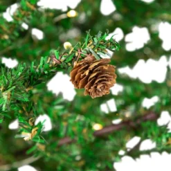 Northlight Pre-lit Christmas Tree With Pinecones And Burlap Base - 4' - Clear Lights -Festival GUEST dfb17d3e a3dd 453b b1c3 52cace1b3868