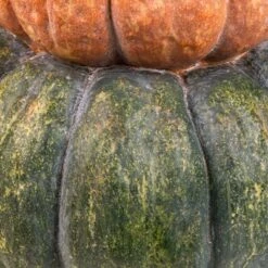 Northlight Tri-Color Pumpkin Stack Fall Harvest Decoration - 19" -Festival GUEST e28ad1e9 9871 4bcc 9009 10d68c0afba9