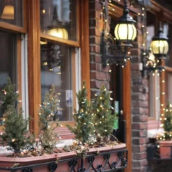 Northlight 10-Count Clear Mini Christmas Light Set - 3' Green Wire -Festival GUEST e4a1fd54 a198 4b16 87b1 7eee5bb69bd1