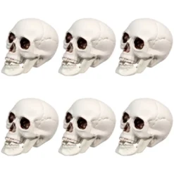 Northlight Skeleton Skull Halloween Decorations - 3.5" - Pack Of 6 -Festival GUEST e5a1e57a 2746 4249 8313 c07114e9de93