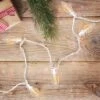 Northlight 25 Count Warm White LED C9 Christmas Lights, 16 Ft White Wire 1 Northlight 25 Count Warm White LED C9 Christmas Lights, 16 Ft White Wire -Festival GUEST f1772742 257e 4c90 a733 91d8b631deb1