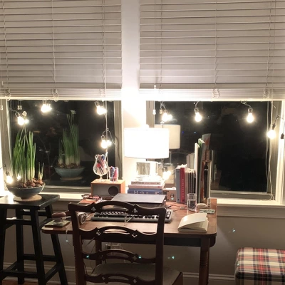 Northlight 15ct Commercial Grade Adjustable Drop Length E17 A Shape Christmas Lights Clear - 21' Black Wire 5 Northlight 15ct Commercial Grade Adjustable Drop Length E17 A Shape Christmas Lights Clear - 21' Black Wire - Image 3