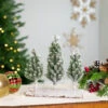 Northlight Frosted Pine Tree Trio Christmas Decoration - 8" - Unlit 1 Northlight Frosted Pine Tree Trio Christmas Decoration - 8" - Unlit -Festival northlight hn96810 styled 01 14375.1727317573
