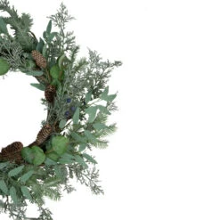 Northlight Frosted Green Mixed Foliage And Blueberries Artificial Christmas Wreath, 26-Inch, Unlit -Festival northlight ll89770 2 39498.1638546376