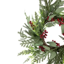 Northlight Mixed Foliage And Red Berries Artificial Christmas Wreath, 24-Inch, Unlit -Festival northlight ll94346 2 02044.1672910228