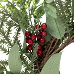 Northlight Mixed Foliage And Red Berries Artificial Christmas Wreath, 24-Inch, Unlit -Festival northlight ll94346 3 62727.1680285397