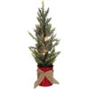 Northlight LED Lighted Artificial Iced Potted Christmas Tree Decoration - 16" - Clear Lights -Festival northlight sf89172 1 sample 87146.1601688798