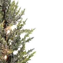 Northlight LED Lighted Artificial Iced Potted Christmas Tree Decoration - 16" - Clear Lights 6 Northlight LED Lighted Artificial Iced Potted Christmas Tree Decoration - 16" - Clear Lights -Festival northlight sf89172 2 sample 21178.1601688799