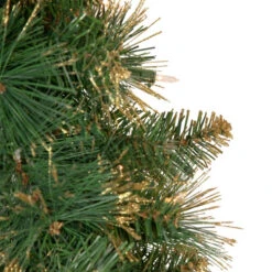 Northlight Pre-Lit Yorkshire Pine Artificial Christmas Wreath, 24-Inch, Clear Lights -Festival northlight sm2924 updated 3 56520.1660325877