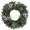 Northlight Pre-Lit Battery Operated Frosted Pine Cone And Berries Christmas Wreath - 24" - White LED Lights