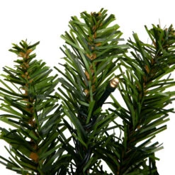 Northlight Pre-Lit Battery Operated Canadian Pine Christmas Wreath - 24" - Clear LED Lights 14 Northlight Pre-Lit Battery Operated Canadian Pine Christmas Wreath - 24" - Clear LED Lights -Festival northlight v15837 03 60500.1689172424