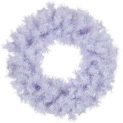 Northlight Icy White Iridescent Spruce Artificial Christmas Wreath, 24-Inch, Unlit