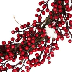 Northlight Real Touch™? Frosted Berry Artificial Christmas Wreath - 18" - Unlit -Festival northlight vm37740 02 16320.1691679746