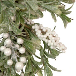 Northlight Artificial Christmas Wreath With Frosted Foliage And Berries, 20-Inch, Unlit -Festival northlight yk93231 3 25630.1659124005