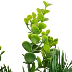 Northlight Crabapple And Berries Boxwood And Pine Artificial Christmas Wreath - 26" - Unlit 17 Northlight Crabapple And Berries Boxwood And Pine Artificial Christmas Wreath - 26" - Unlit -Festival northlight yk95989 04 63764.1709061160