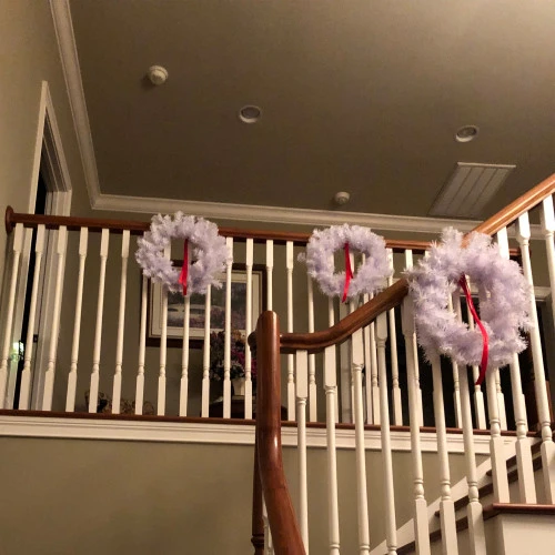 Northlight White Crystal Spruce Artificial Christmas Wreath - 20" - Unlit 6 Northlight White Crystal Spruce Artificial Christmas Wreath - 20" - Unlit - Image 4