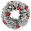 Northlight Pre-Lit Battery Operated Snowy Bristle Pine Christmas Wreath - 24" - Dual Color LED Lights -Festival northlight z95348 01 00056.1694706553
