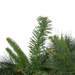 Northlight Pre-Lit Battery Operated Ashcroft Cashmere Pine Christmas Garland - 6' X 14" - Warm White LED Lights 7 Northlight Pre-Lit Battery Operated Ashcroft Cashmere Pine Christmas Garland - 6' X 14" - Warm White LED Lights -Festival northlight z99366 1updated 42457.1667403773