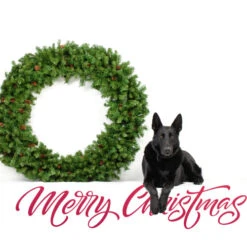 Northlight Dakota Red Pine Commercial Artificial Christmas Wreath - 5' - Unlit -Festival northlight z99437 cxpic 2 84230.1677579788